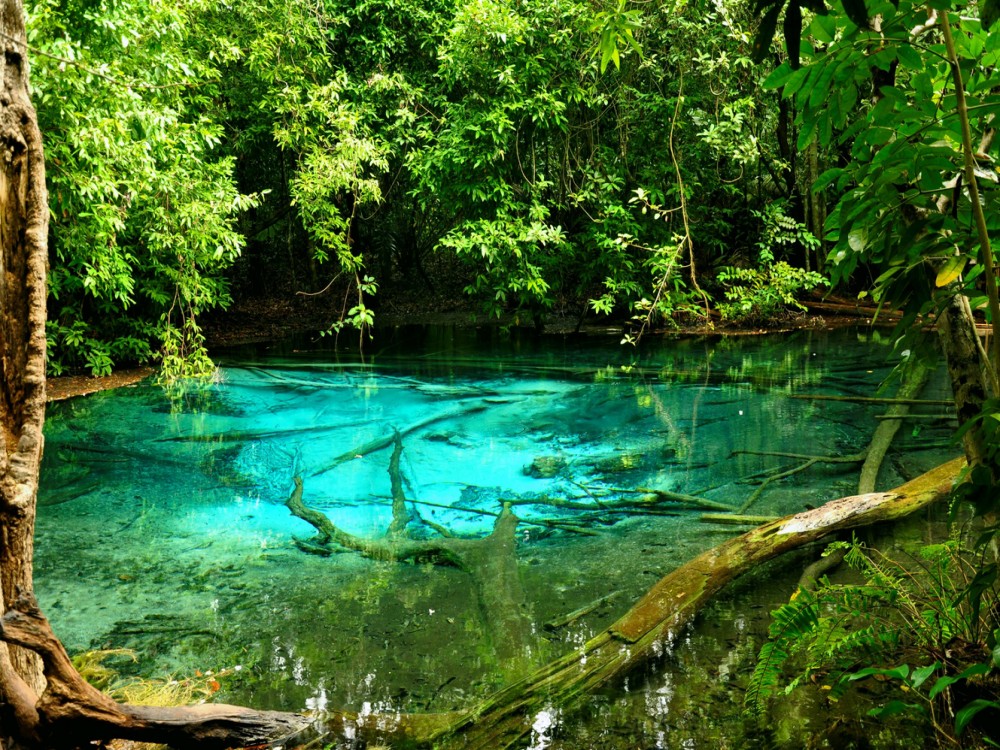 Emerald Pool
