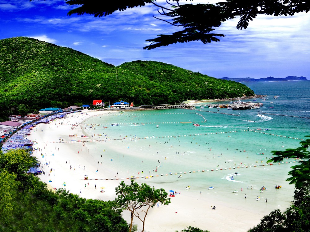 Coral Island
