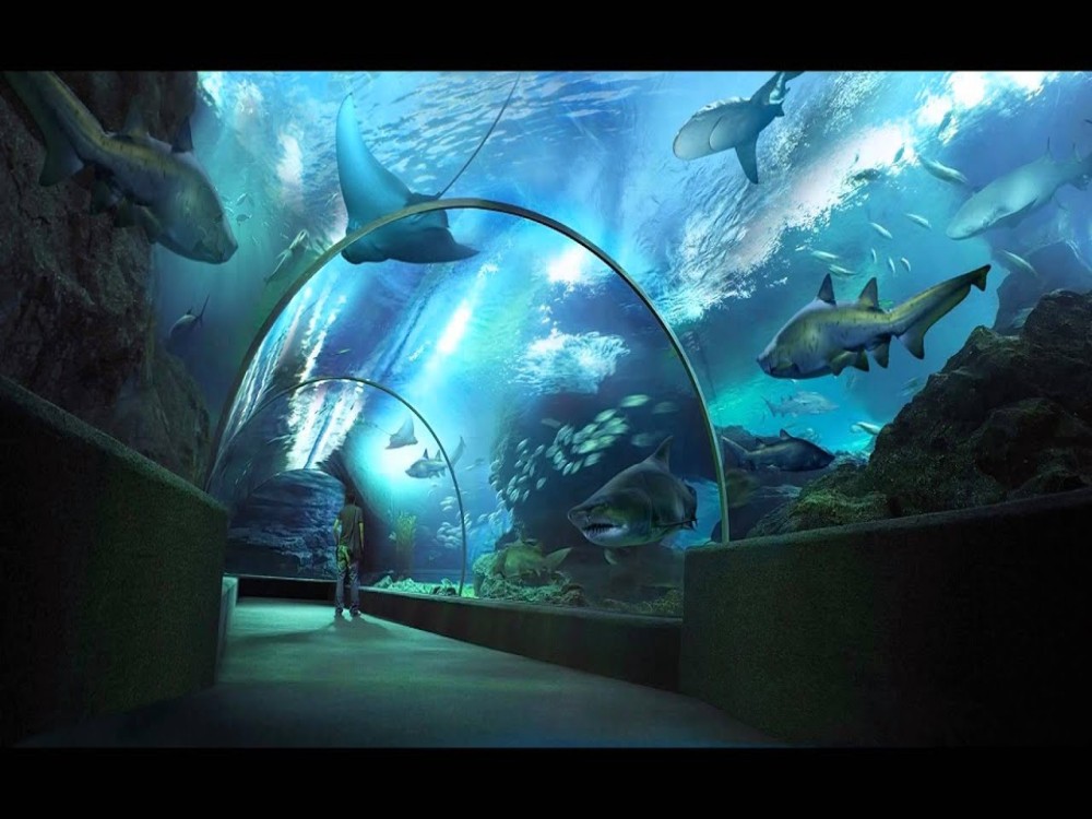 Underwater World Pattaya