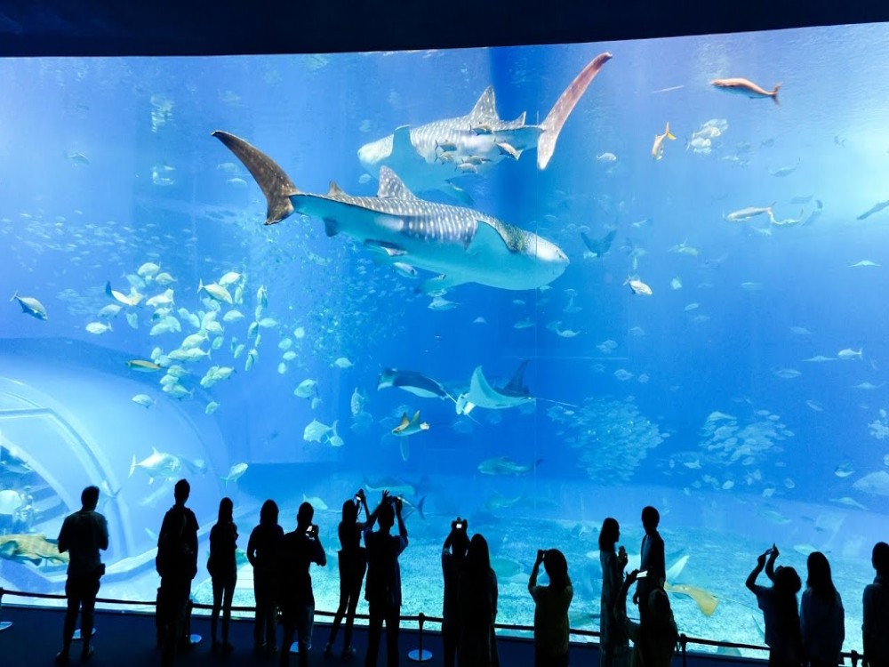 Underwater World Pattaya
