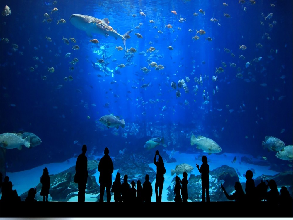 Underwater World Pattaya