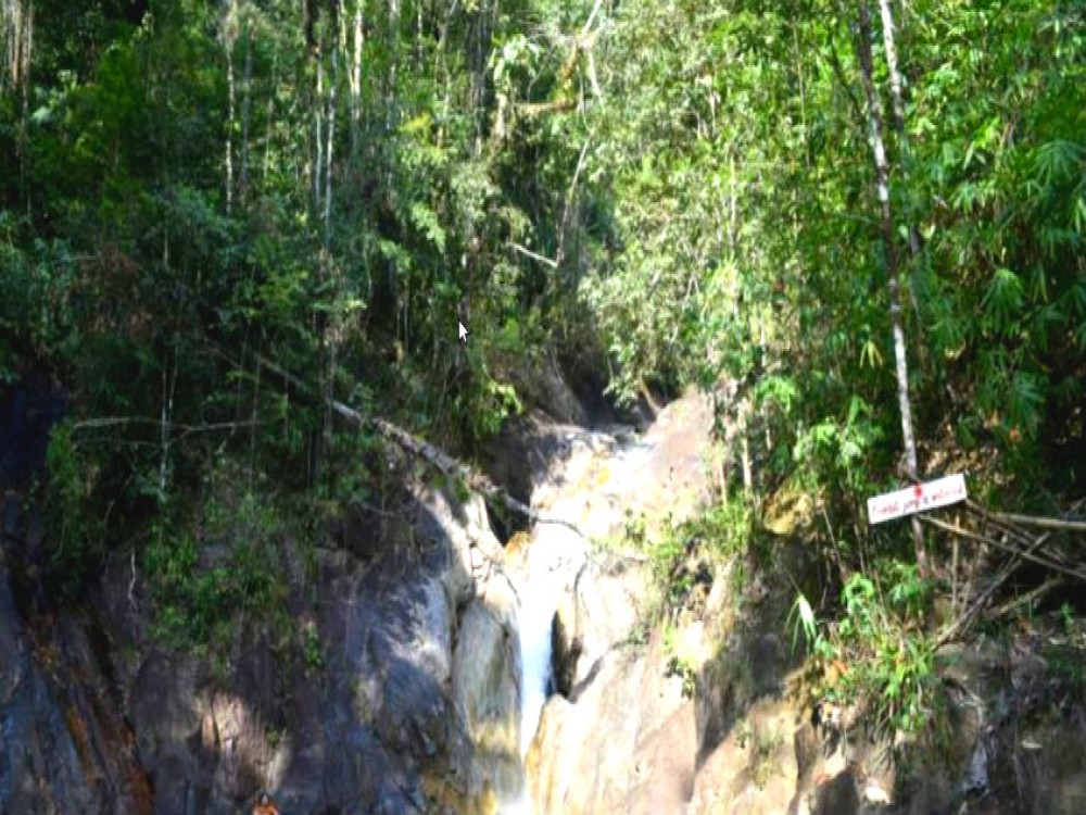 Ton Pariwat Wildlife Sanctuary