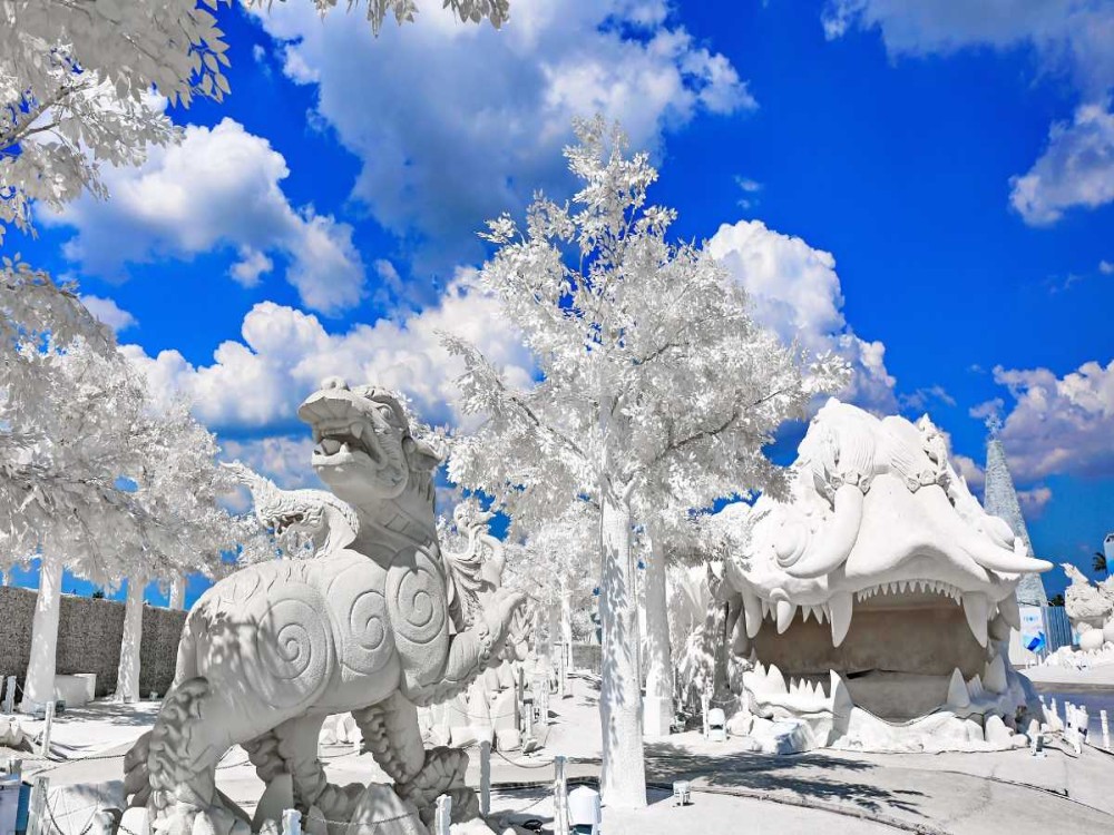 Frost Magical Ice of Siam