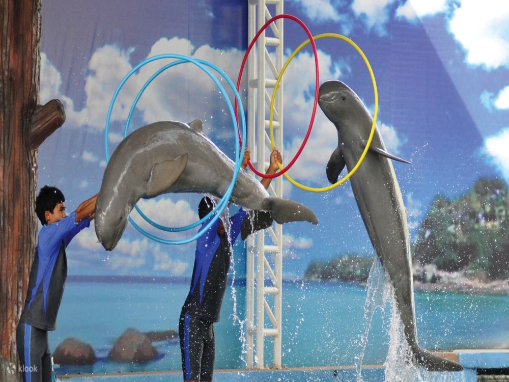 Pattaya Dolphin World