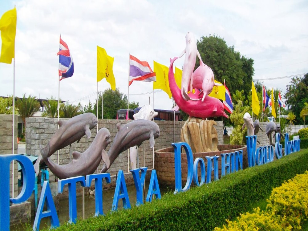 Pattaya Dolphin World