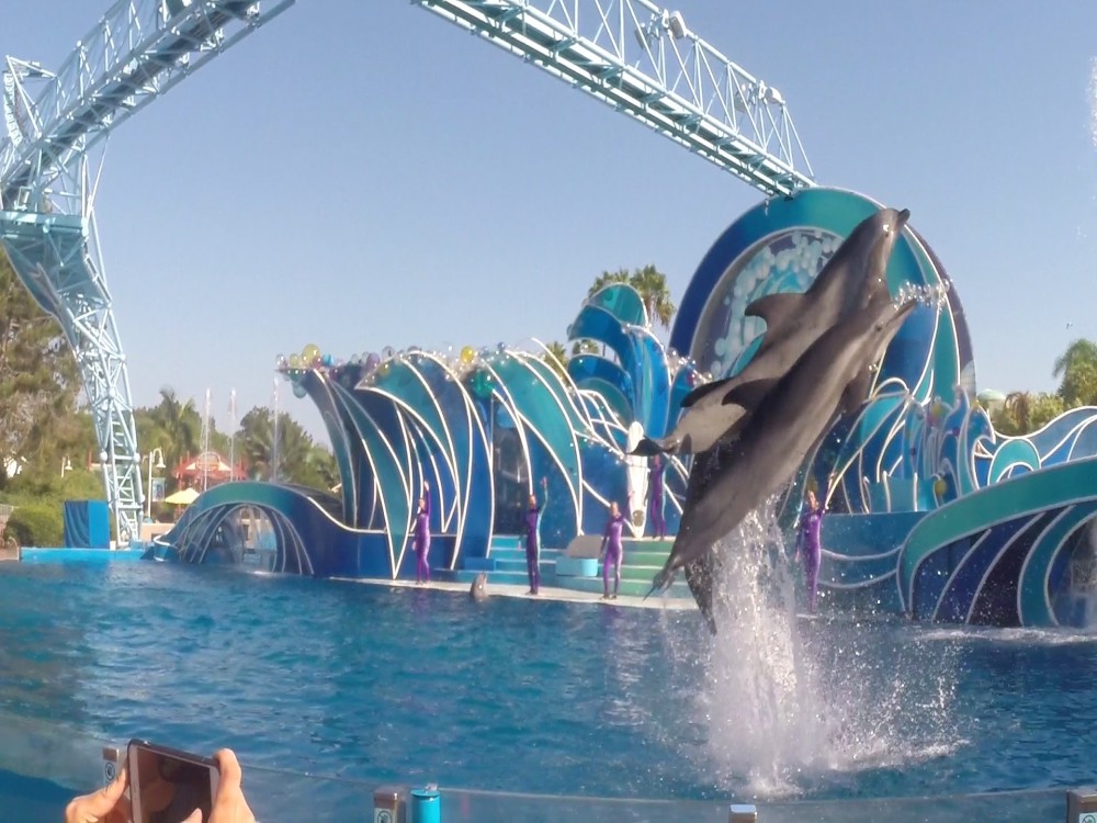 Pattaya Dolphin World