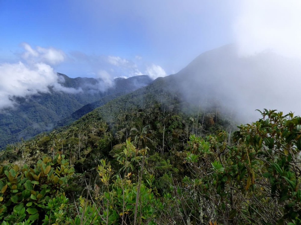 Sierra Nevada de Santa Marta National Park