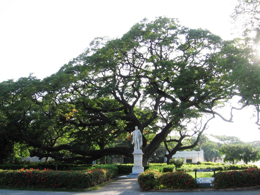 Quinta de San Pedro Alejandrino