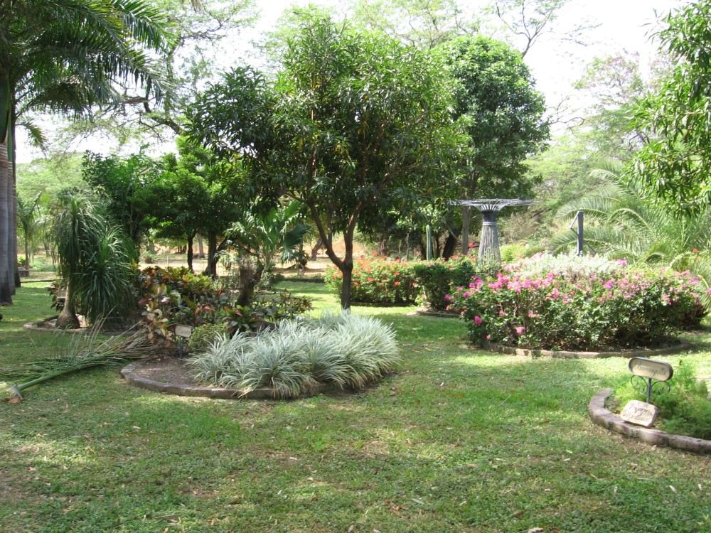 Quinta de San Pedro Alejandrino
