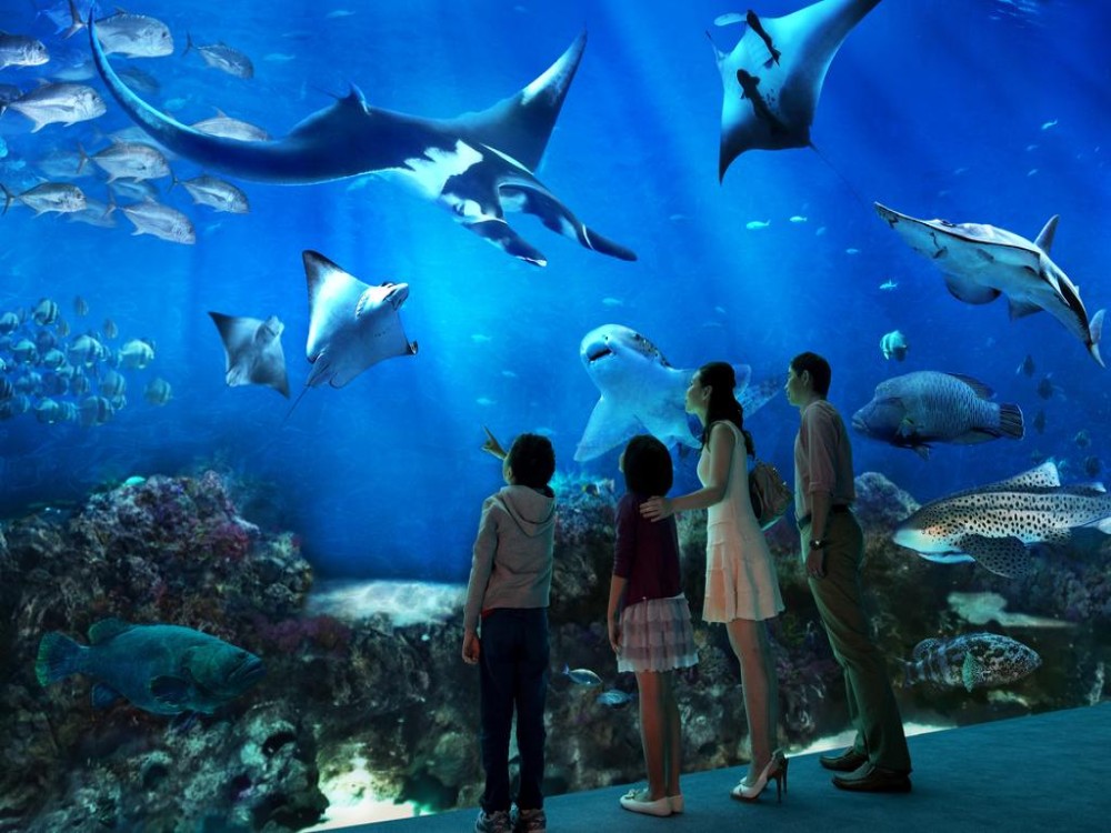 Marine World Aquarium