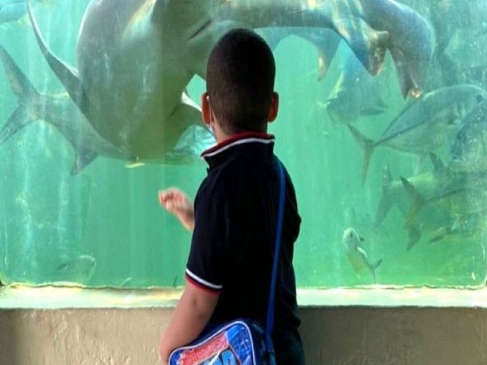 Marine World Aquarium