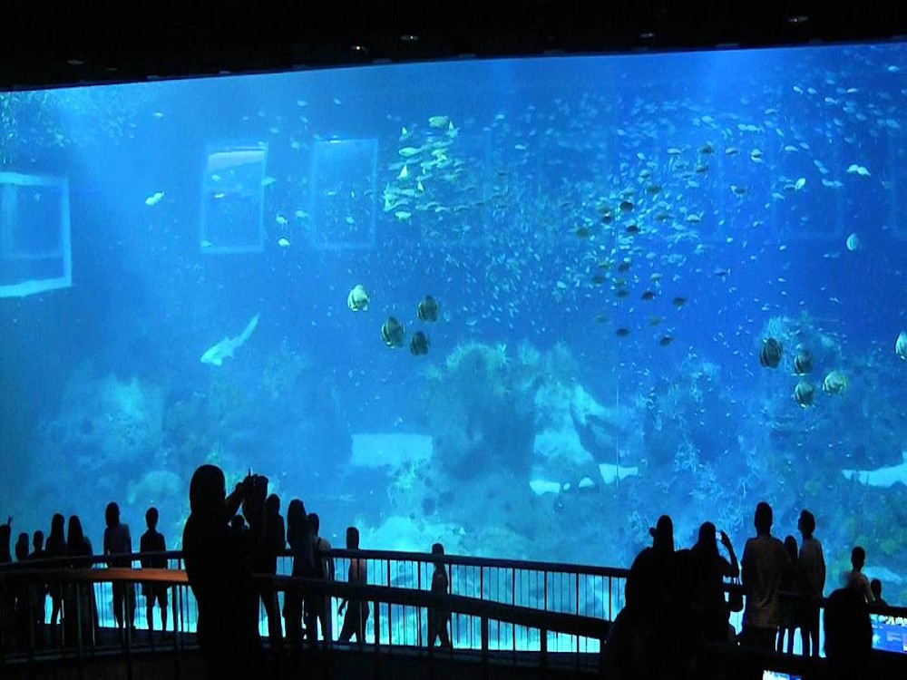 Marine World Aquarium
