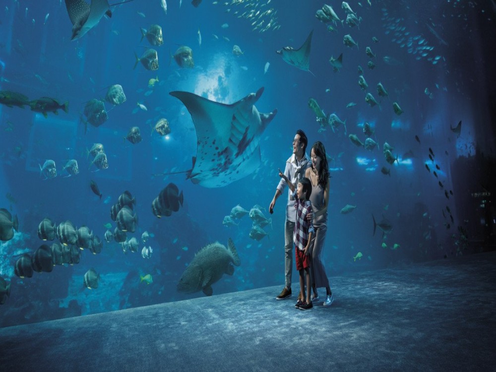 Marine World Aquarium