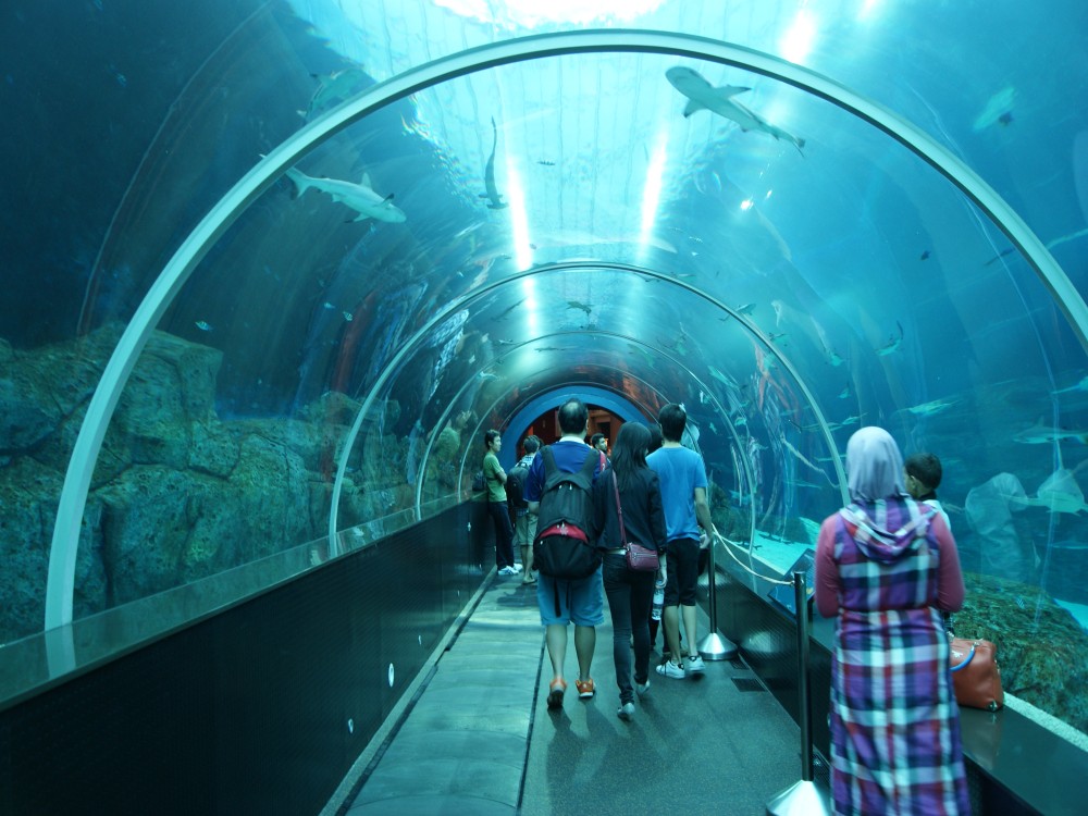 Marine World Aquarium