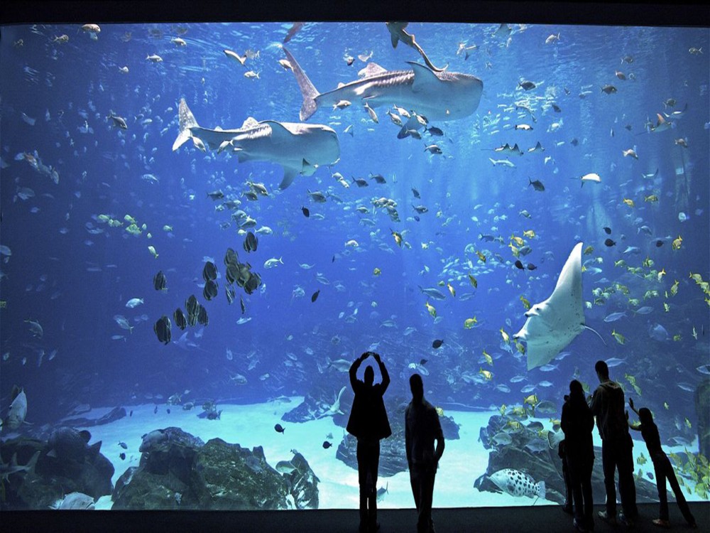 Marine World Aquarium