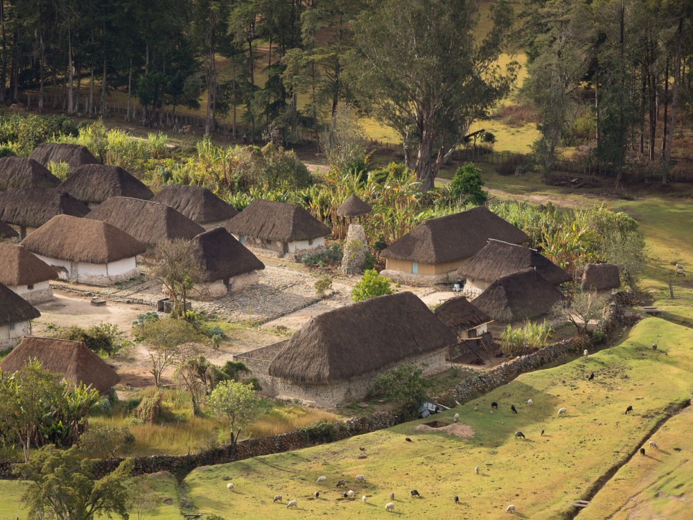Nabusimake