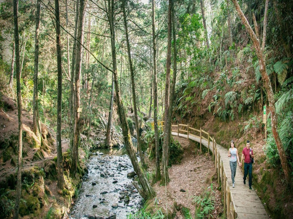 Arvi Park and Piedras Blancas Park