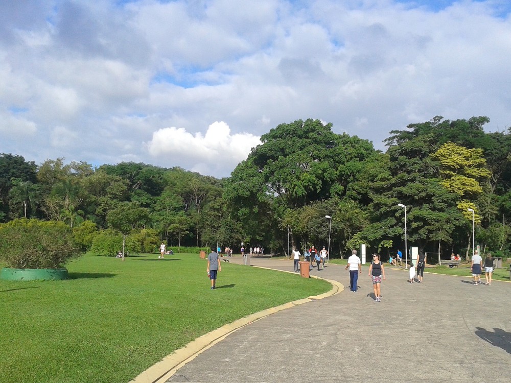 Arvi Park and Piedras Blancas Park