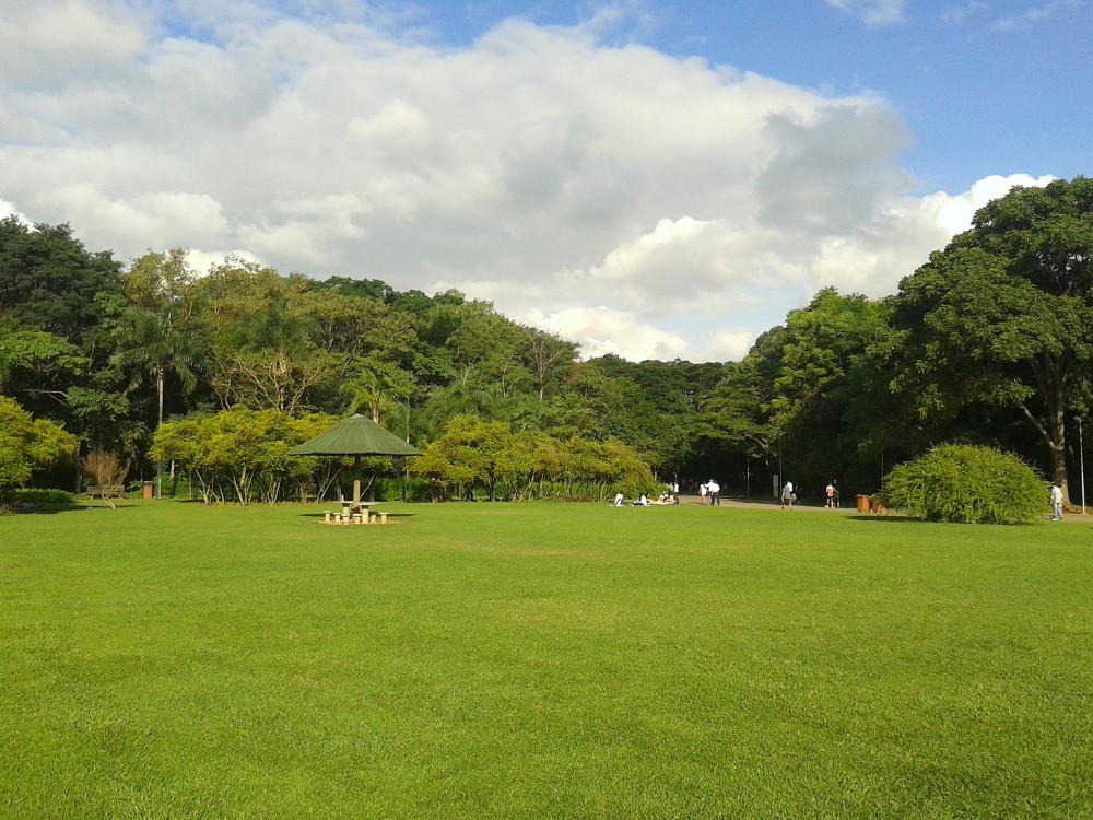 Arvi Park and Piedras Blancas Park