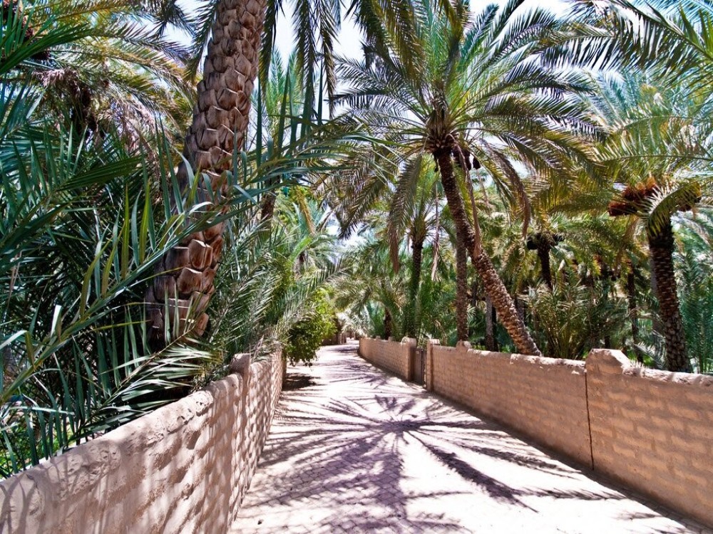 Al Ain Oasis