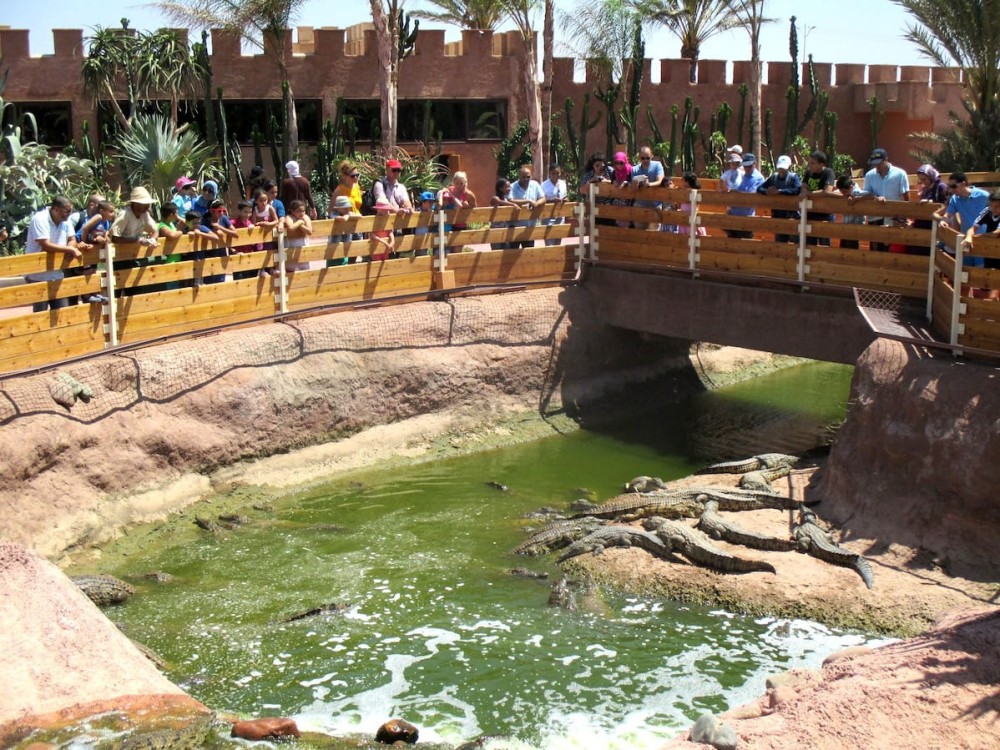 Crocoparc