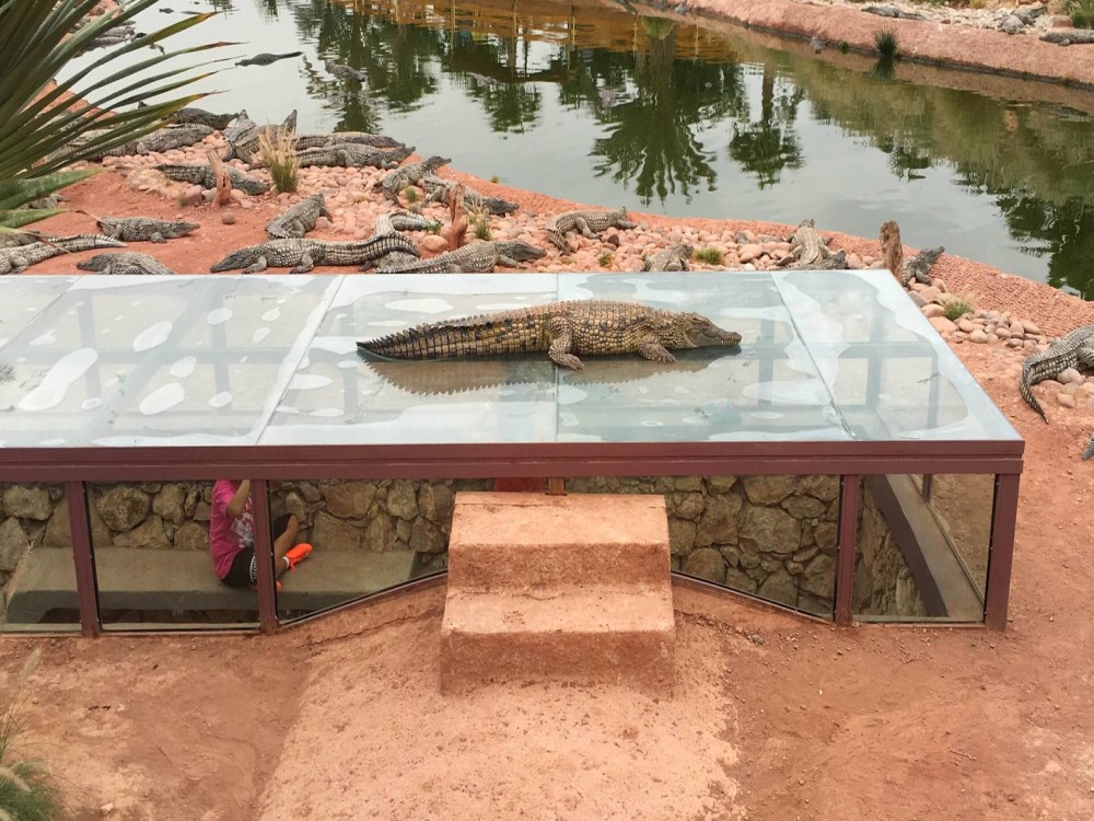 Crocoparc
