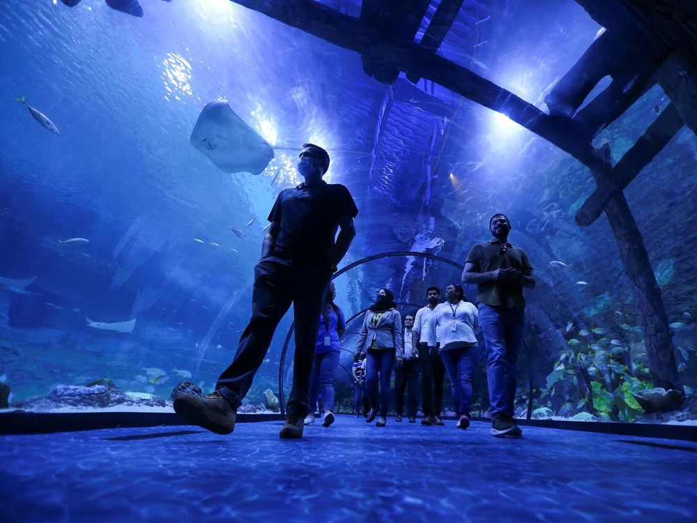 The National Aquarium Abu Dhabi
