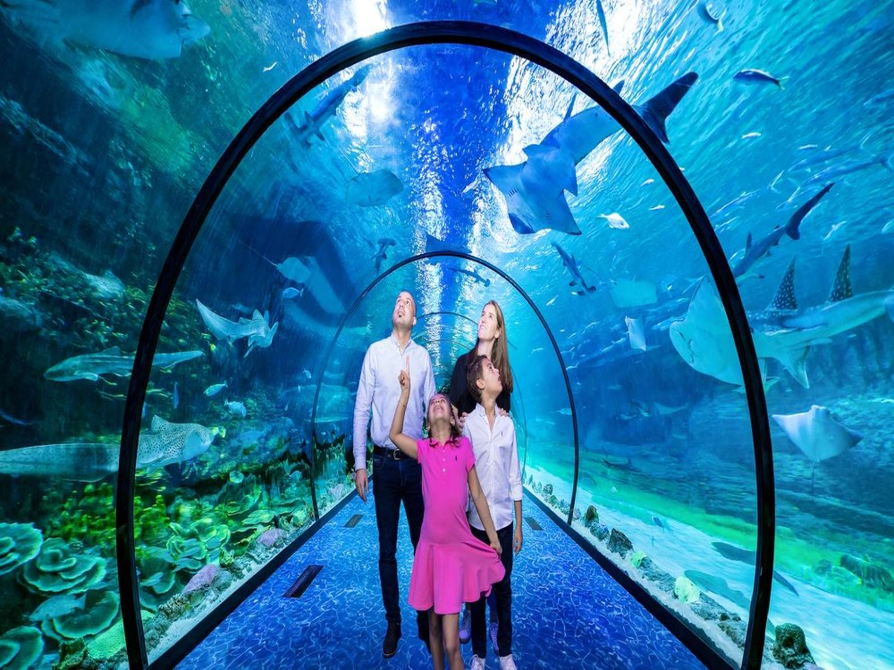 The National Aquarium Abu Dhabi