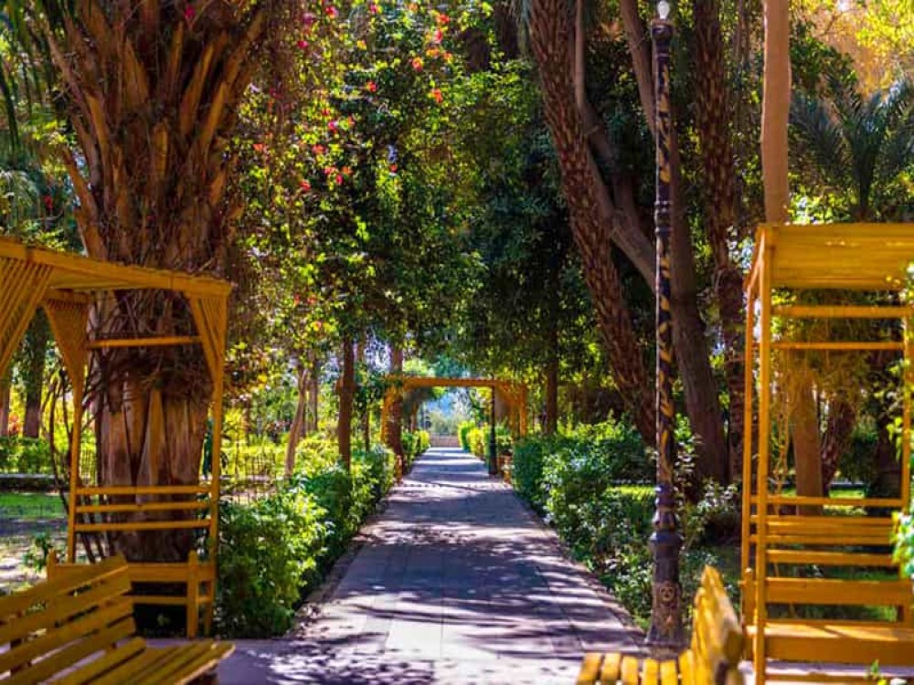 Aswan Botanical Garden