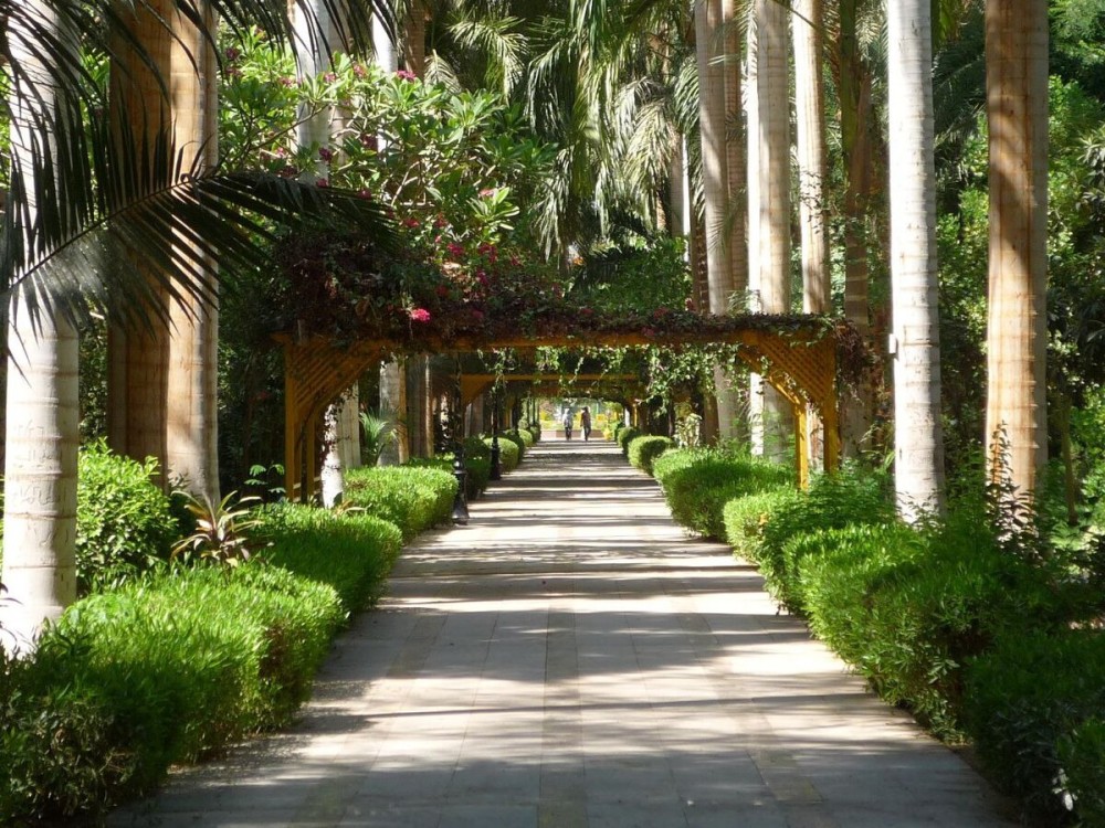 Aswan Botanical Garden