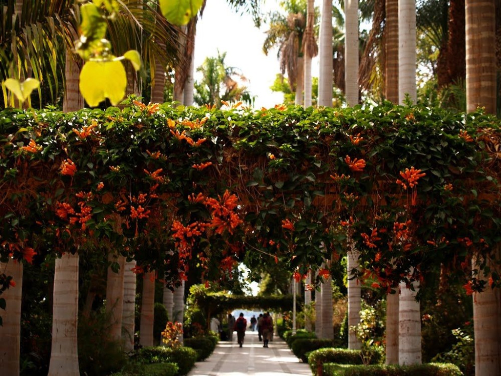 Aswan Botanical Garden