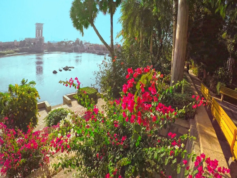 Aswan Botanical Garden