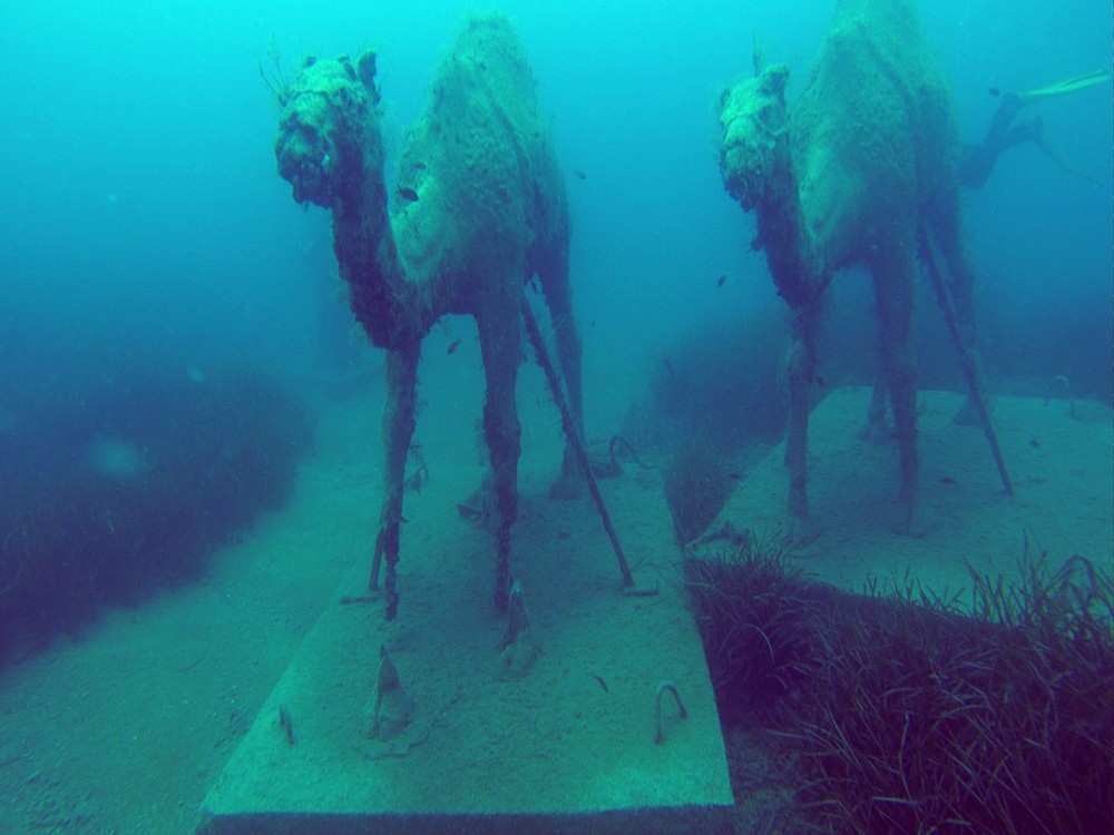 Side Underwater Museum