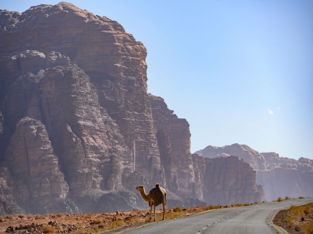 King’s Highway