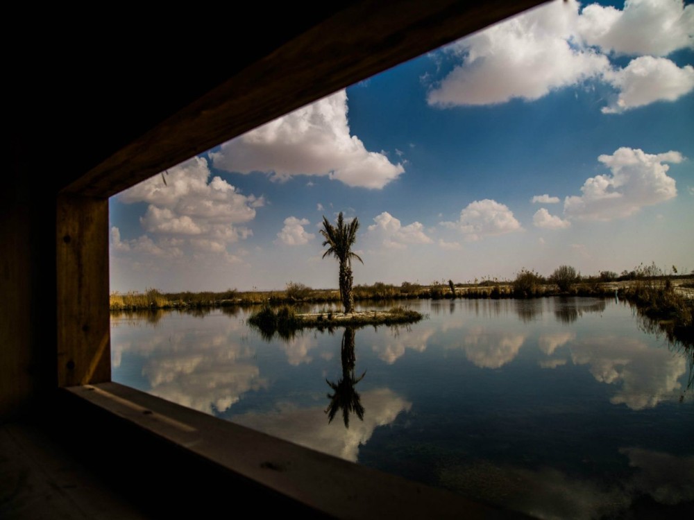 Azraq Wetland Reserve
