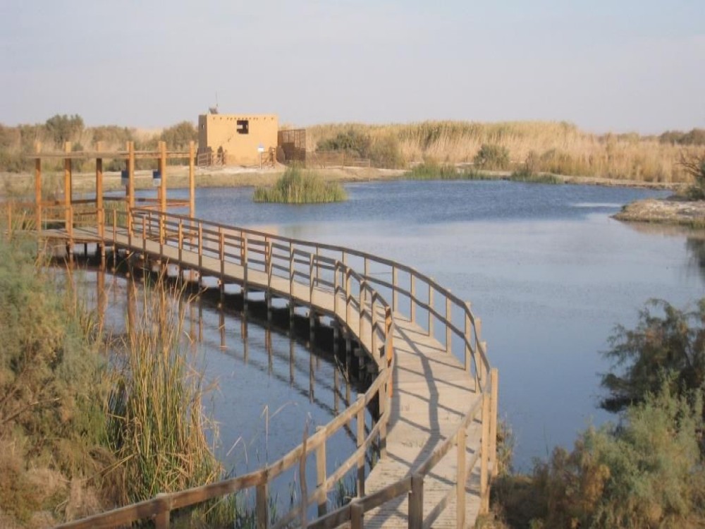 Azraq Wetland Reserve