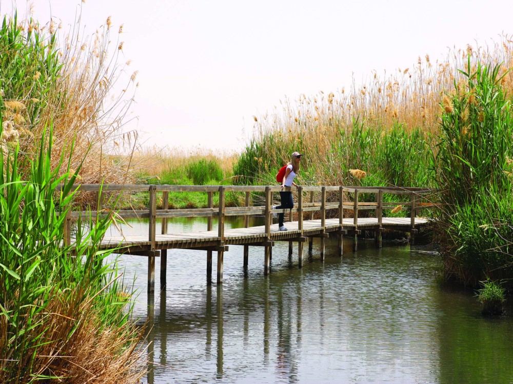 Azraq Wetland Reserve