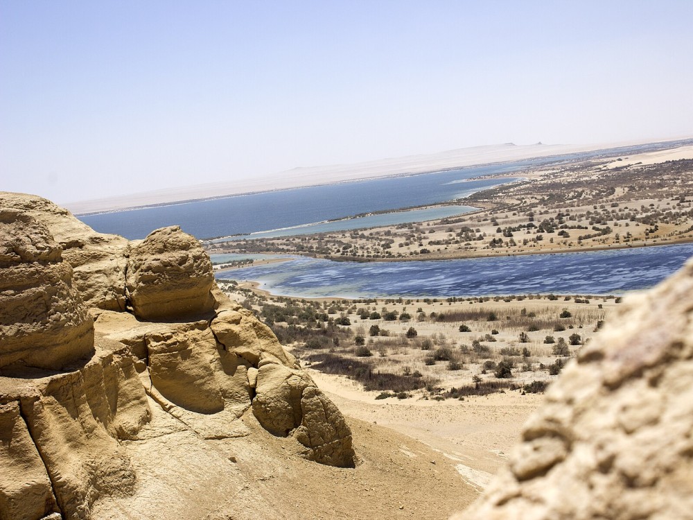 Al-Fayoum
