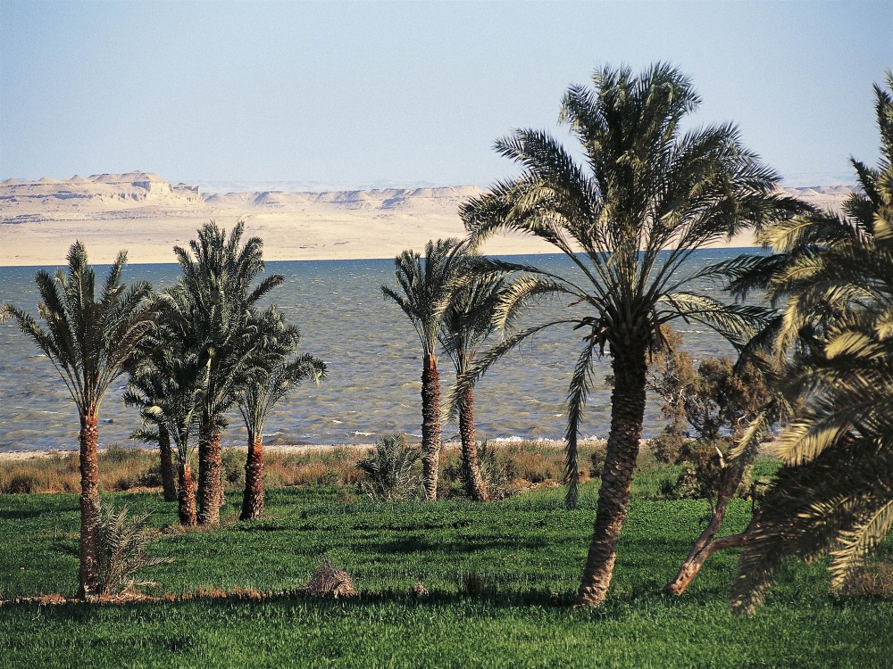Al-Fayoum