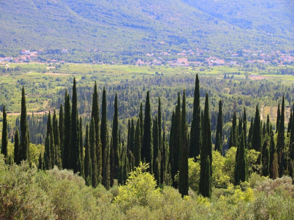 Konavle Valley