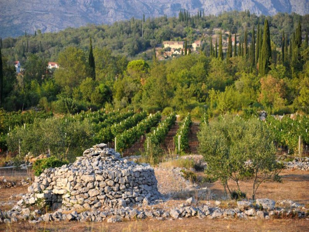 Konavle Valley