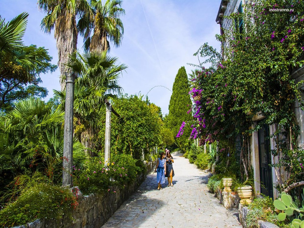 Trsteno Arboretum