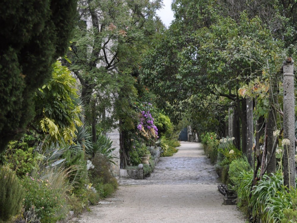 Trsteno Arboretum