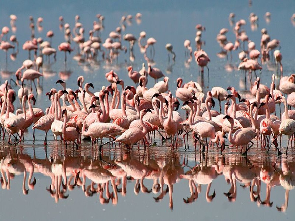 Lake Manyara National Park