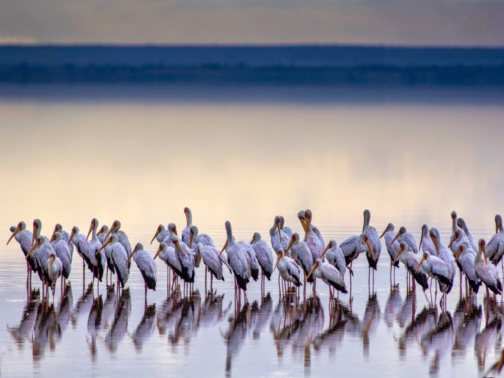 Lake Manyara National Park
