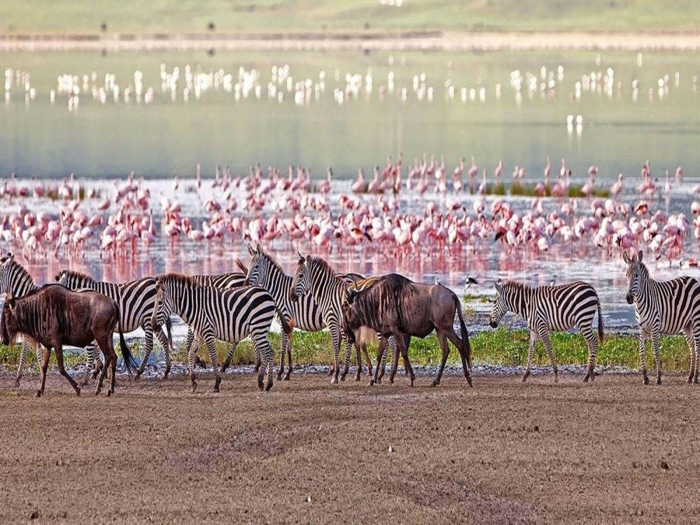 Lake Manyara National Park