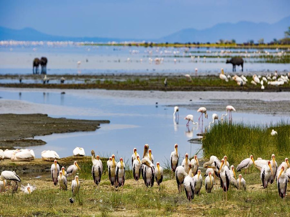 Lake Manyara National Park