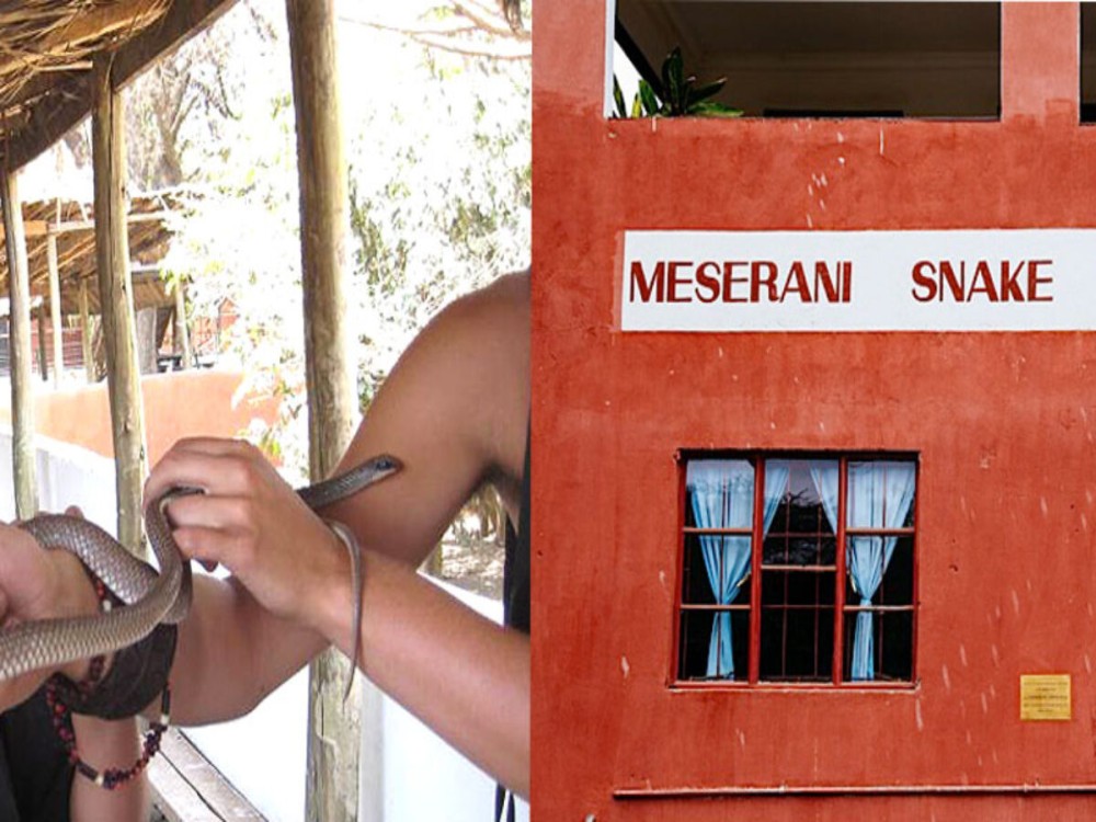 Meserani Snake Park