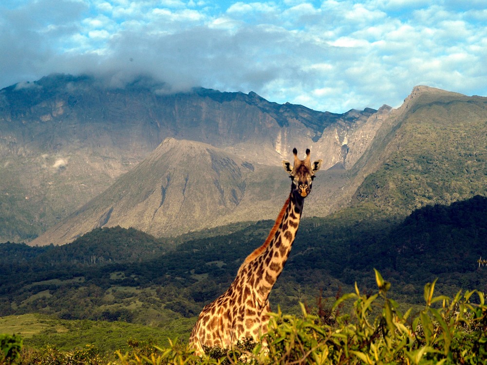 Arusha National Park