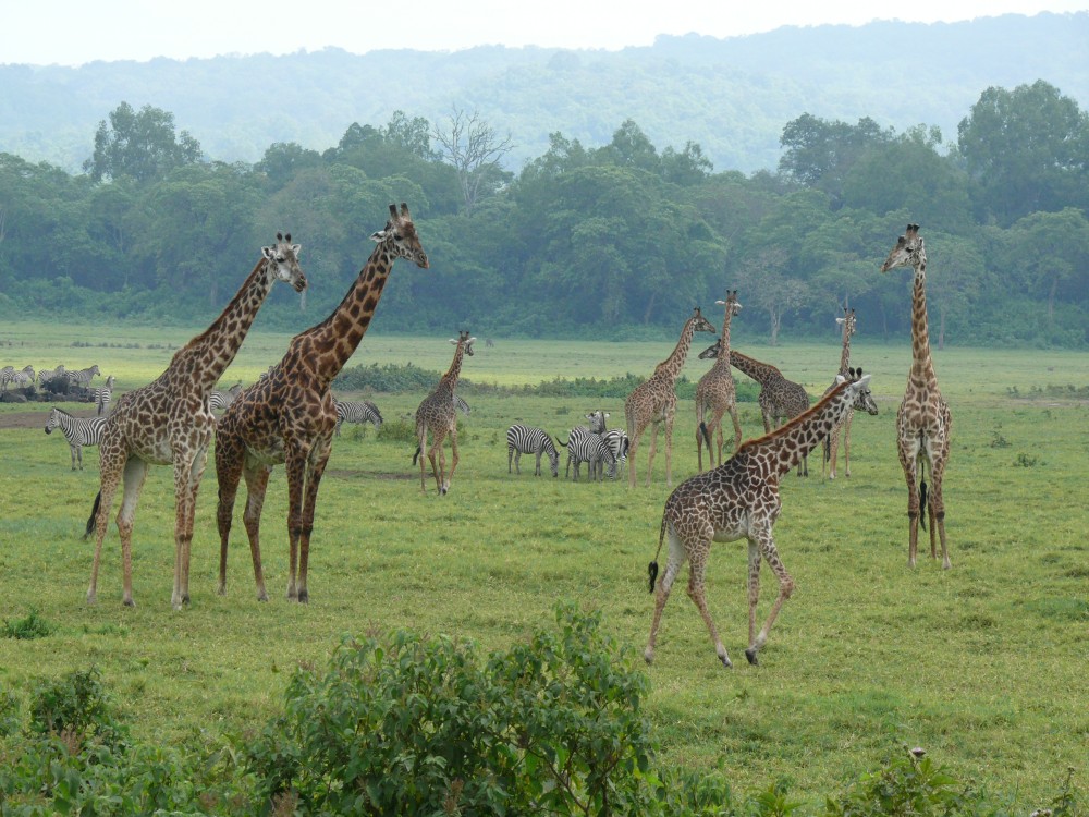 Arusha National Park